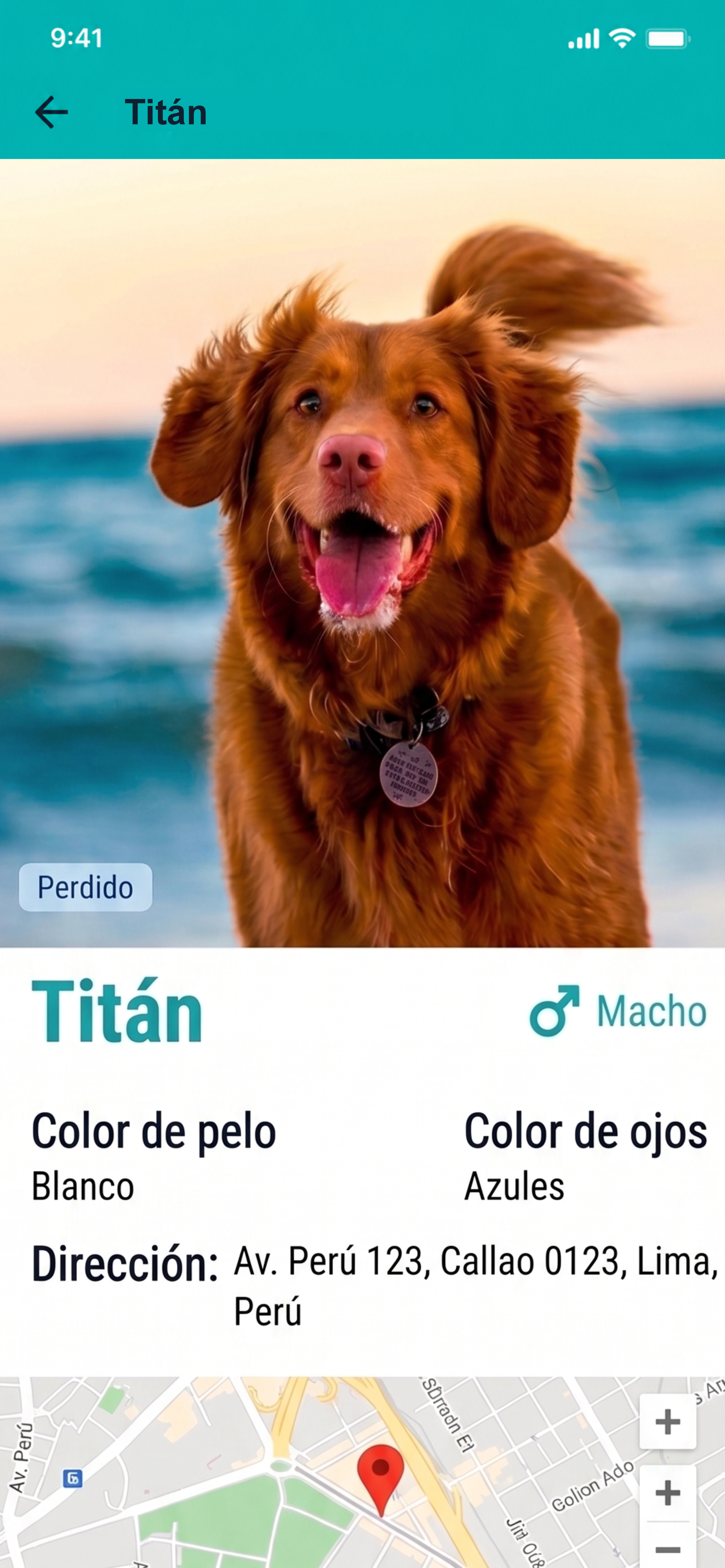 Captura 3